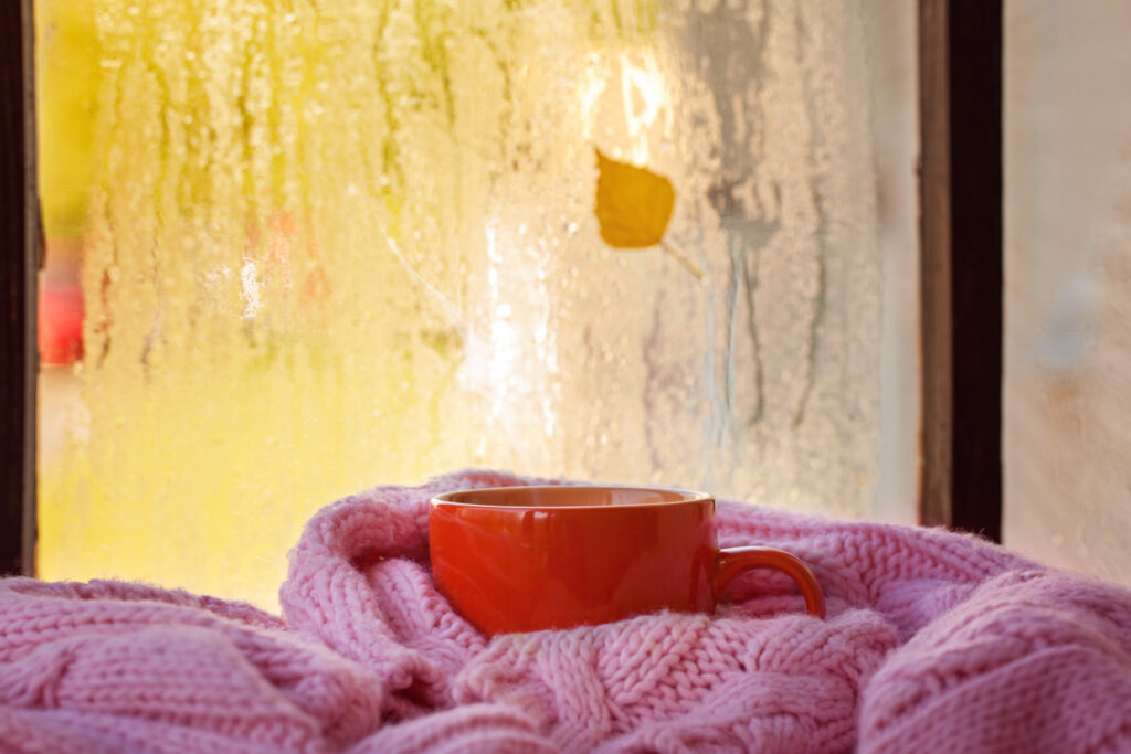 Kondenzovaná voda na oknech